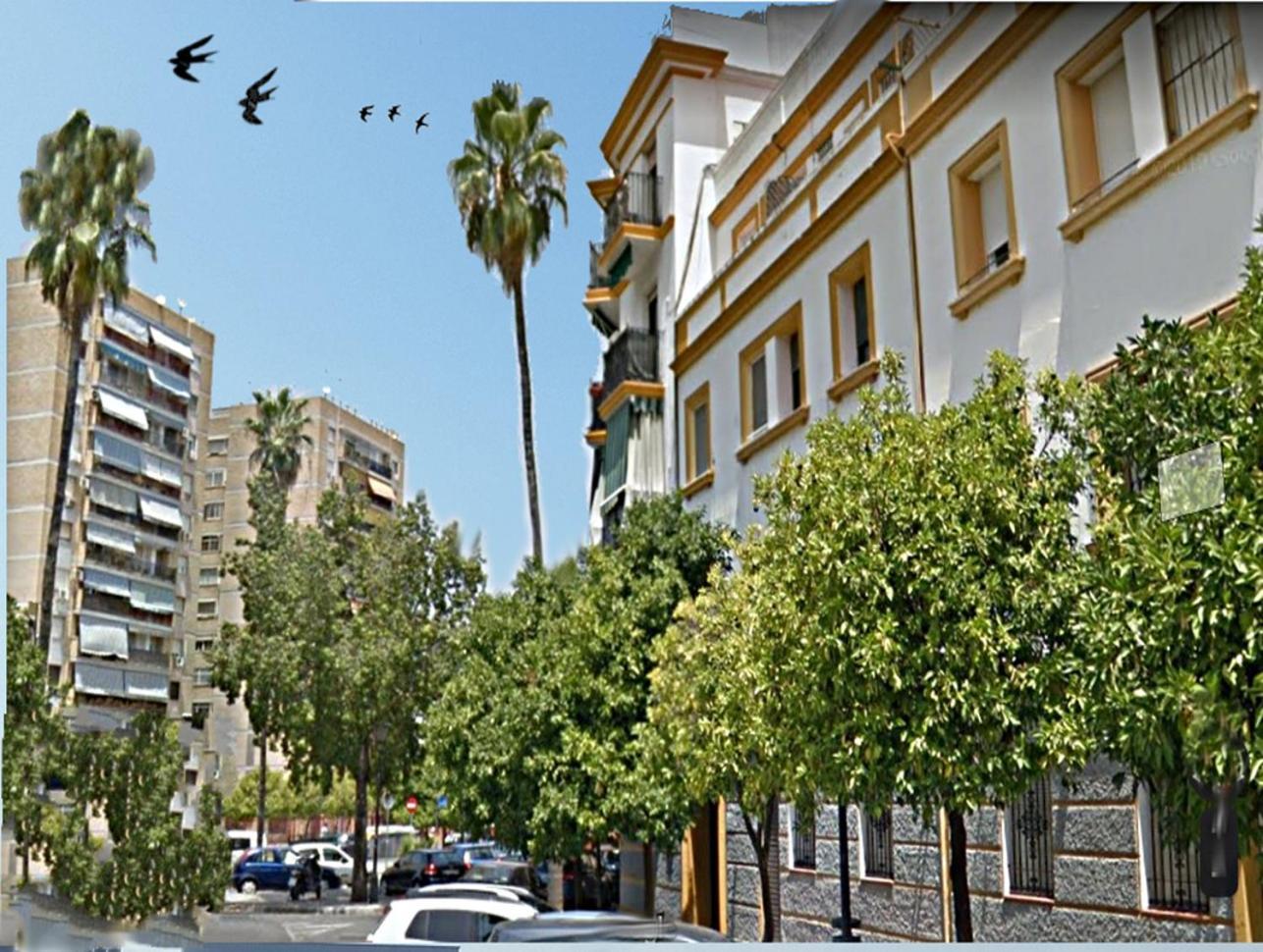 Apartamento San Juan De Dios Sevilla Exterior foto